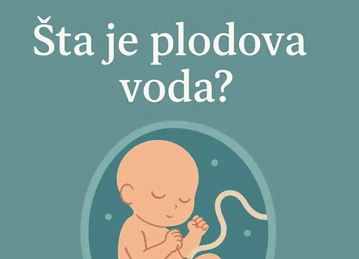 plodova voda